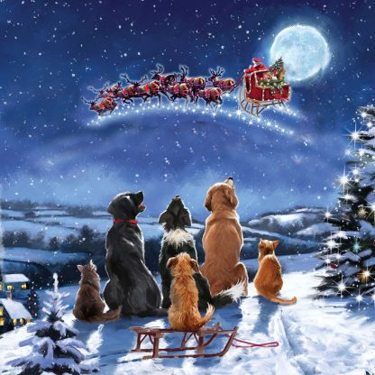 Waiting for Santa Christmas Card