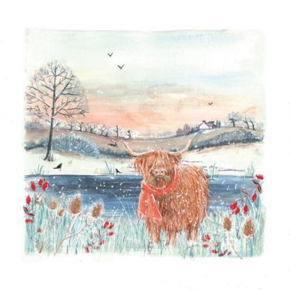 Highland cow Christmas Card