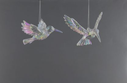 Hummingbird Resiz