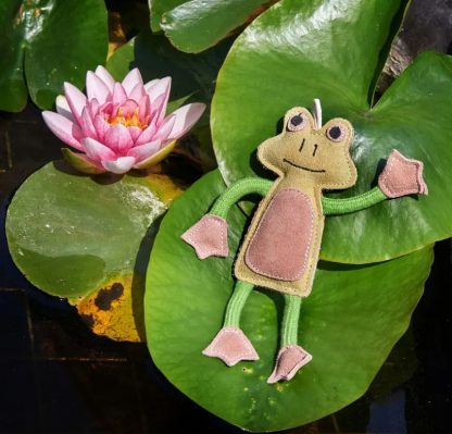Frog 3
