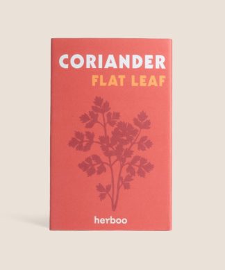 Coriander Seeds