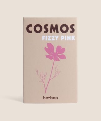 Cosmos Seeds